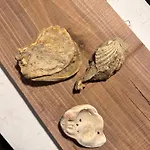 La Casetta Di Nonna Gemma Semesterbostad *