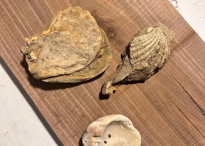 La Casetta Di Nonna Gemma Casa vacanze *